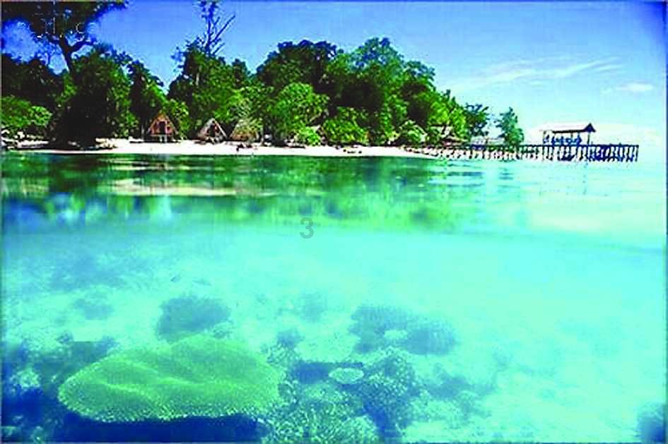 沪江开心词场